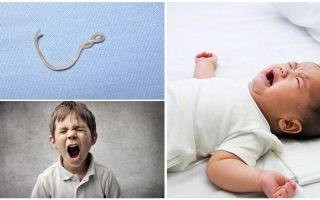Sintomi e trattamento dell'ascariasis nei bambini