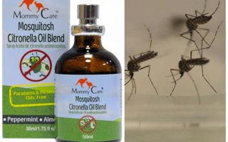 Mammy Care olio repellente per zanzare