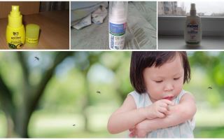 Mezzi efficaci di zanzare per bambini da 1 anno