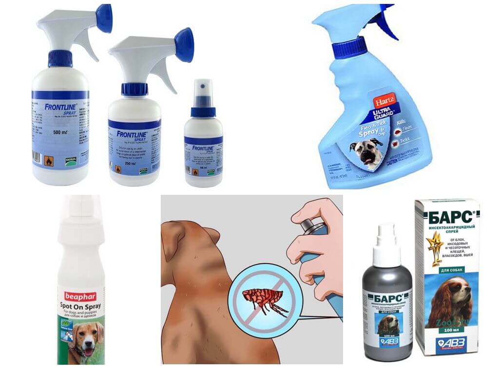 Spray per cani per cani