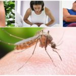 Conseguenze della Malaria Mosquito Bite