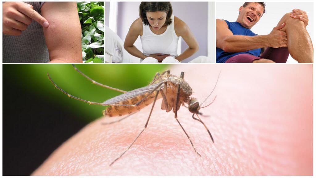 Conseguenze della Malaria Mosquito Bite